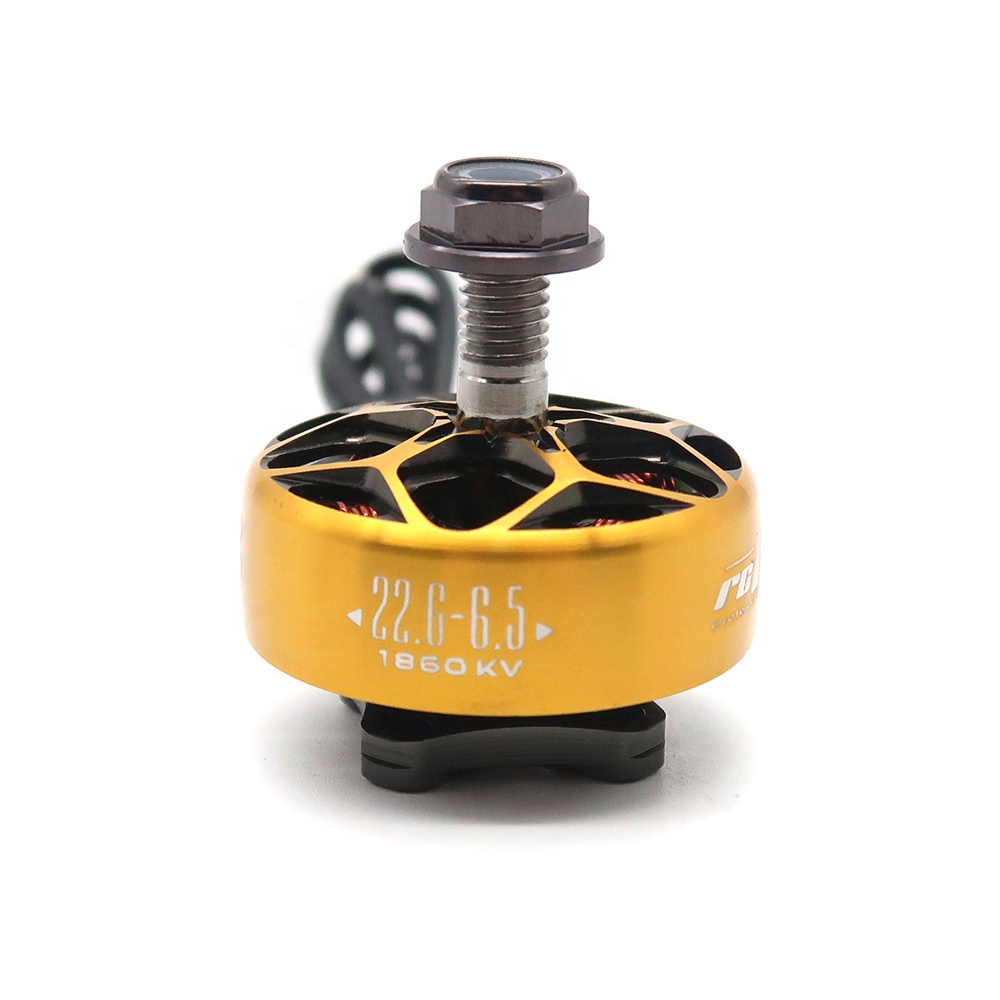 RCINPOWER WASP MAJOR 1860KV 20 - Drone Battery 6S review and price