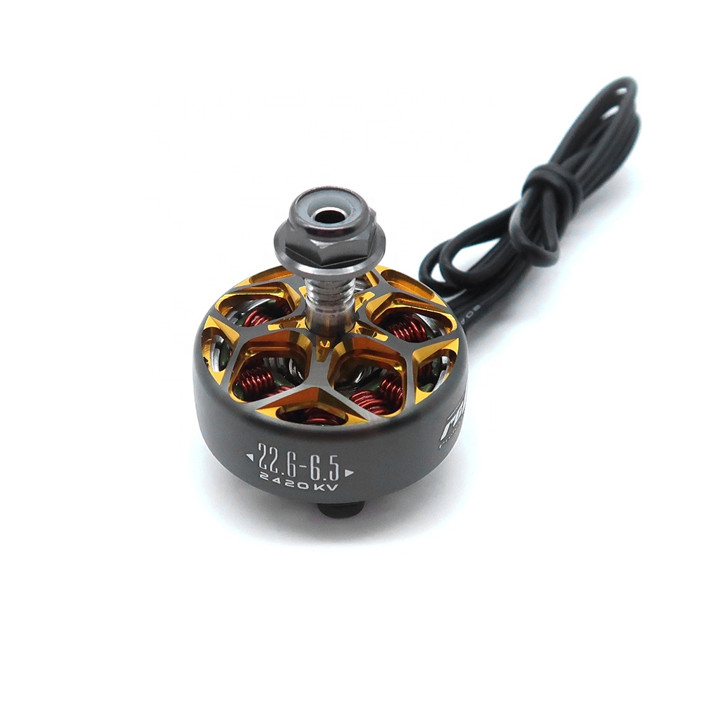 RCINPOWER WASP MAJOR 1860KV 20 - Drone Battery 6S review and price